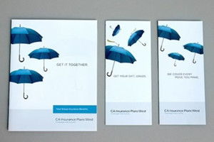 DM单设计中的价格标示符固定格式解析